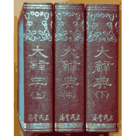 大辞典封面