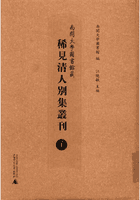 南开大学图书馆藏稀见清人别集丛刊 .封面