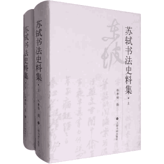 苏轼书法史料集 水赉佑封面