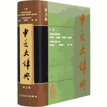中医大辞典封面