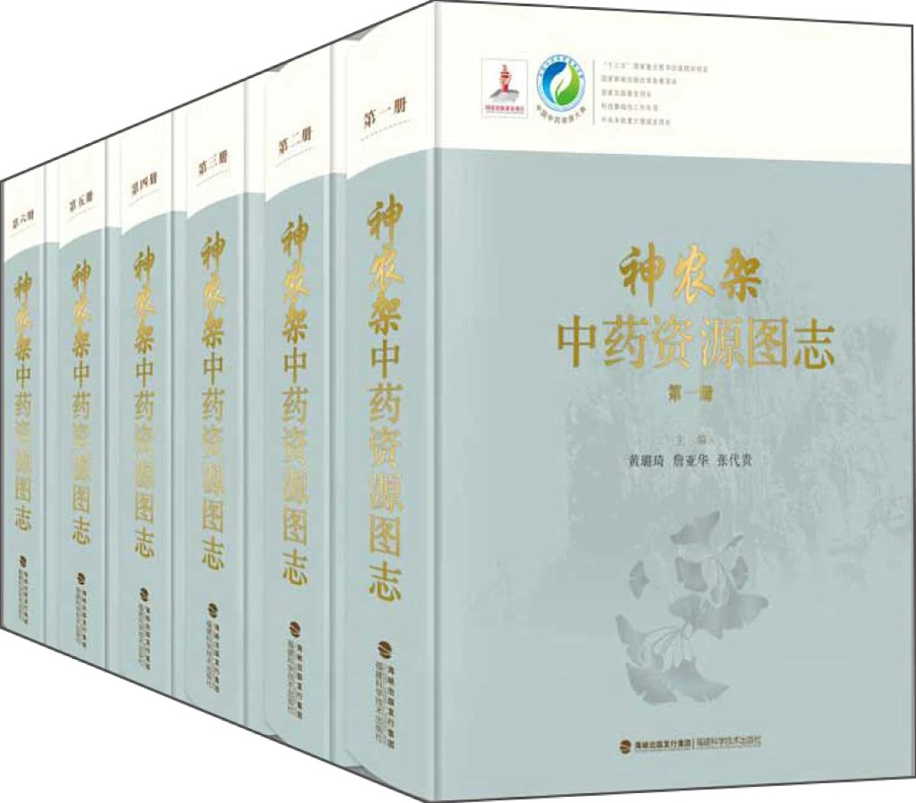 中国中医药经典传奇配方 中国十大杰出丛书配套经典封面