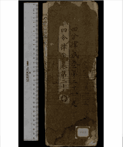 YGZ封面