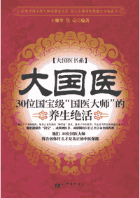 大国医书系封面