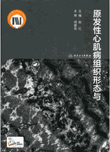 原发性心肌病组织形态与超微结构图谱封面