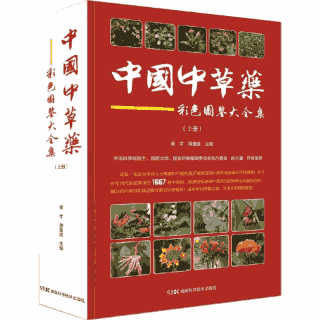 中国中草药 图鉴大全集封面