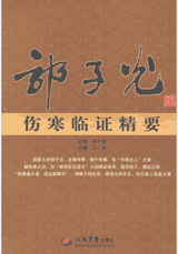 国医大师学术经验传承录 2010–2012封面
