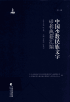 中国少数民族文字珍稀典籍汇编封面