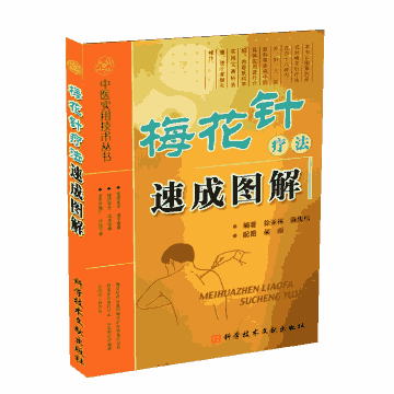 中医实用技术丛书封面