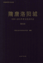隋唐洛阳城 1959-2001年考古发掘报告封面