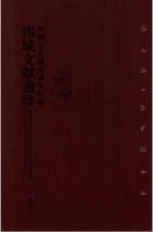 中国文化遗产研究院藏西域文献遗珍封面