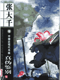 张大千全集封面