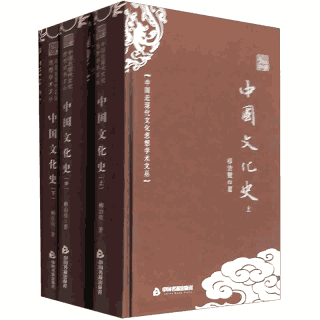 中国文化史 中国近现代文化思想学术文丛封面