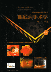 眼底病手术学 人民卫生封面