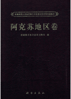 新疆维吾尔自治区第三次全国文物普查成果集成（原30册，缺4册，现存26册；2011–2016）封面