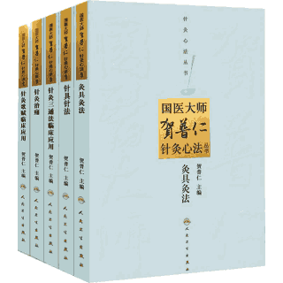 国医大师贺普仁针灸心法丛书封面