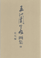王兰若画集封面