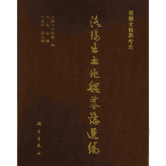 洛阳出土北魏墓志选编封面