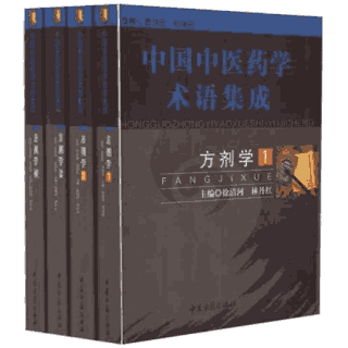中国中医药学术语集成 格式 681M封面